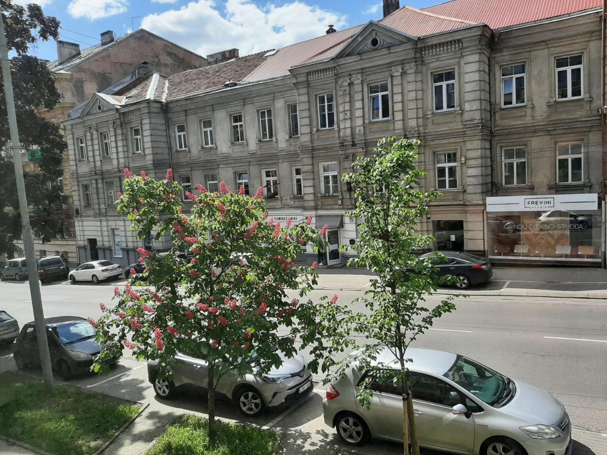 Centrally Located Cosy Studio Вільнюс Екстер'єр фото